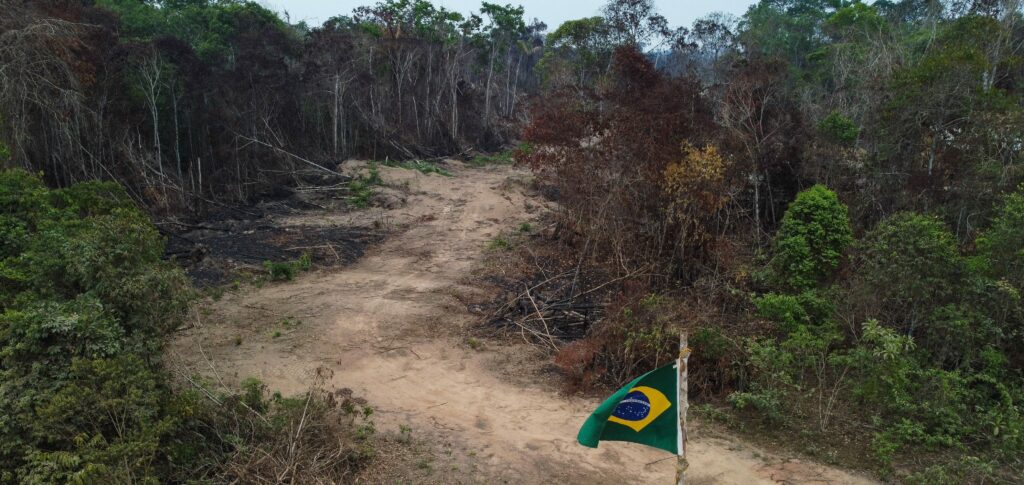 Amazônia