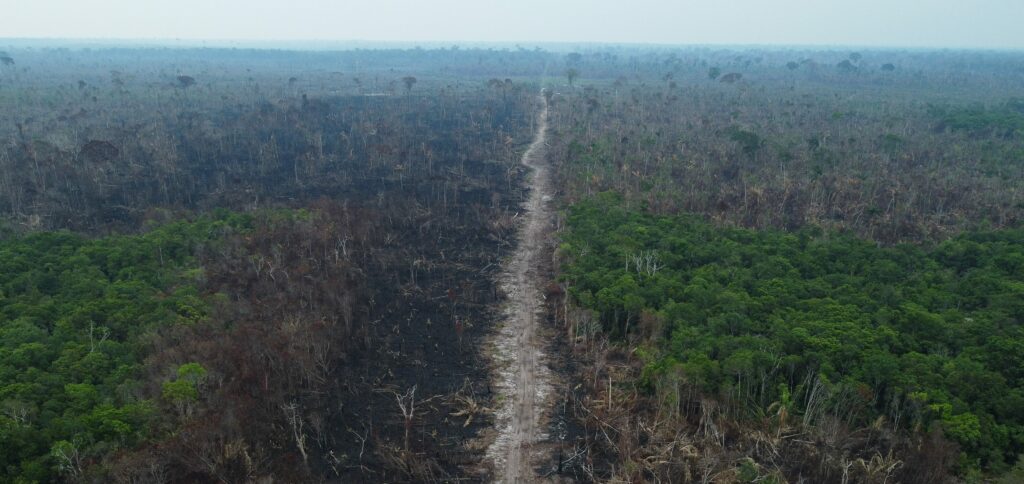 desmatamento amazônia