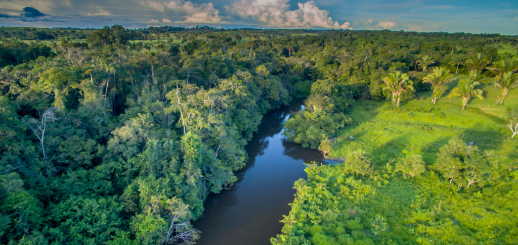 Amazônia