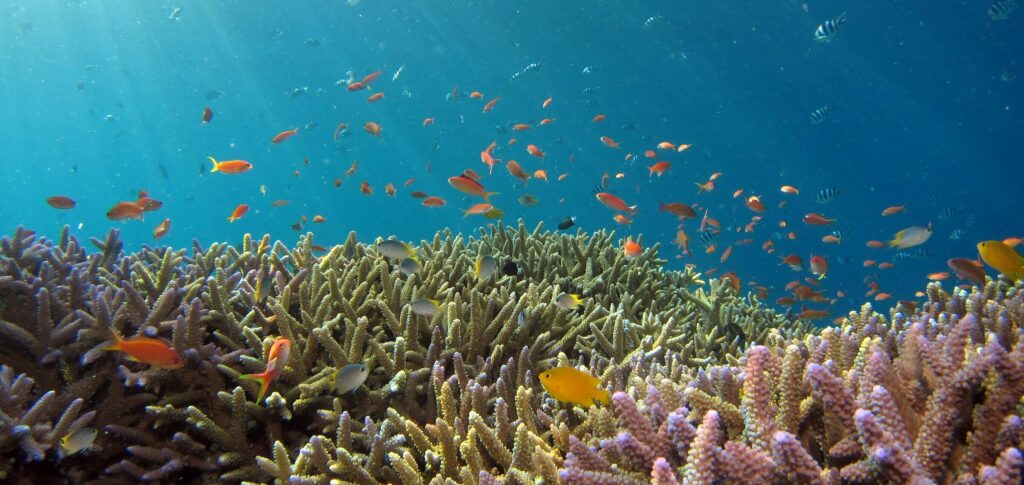 poluição oceanos
