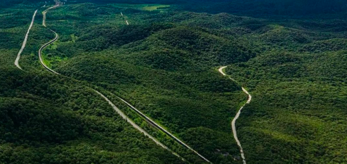 Mata Atlântica