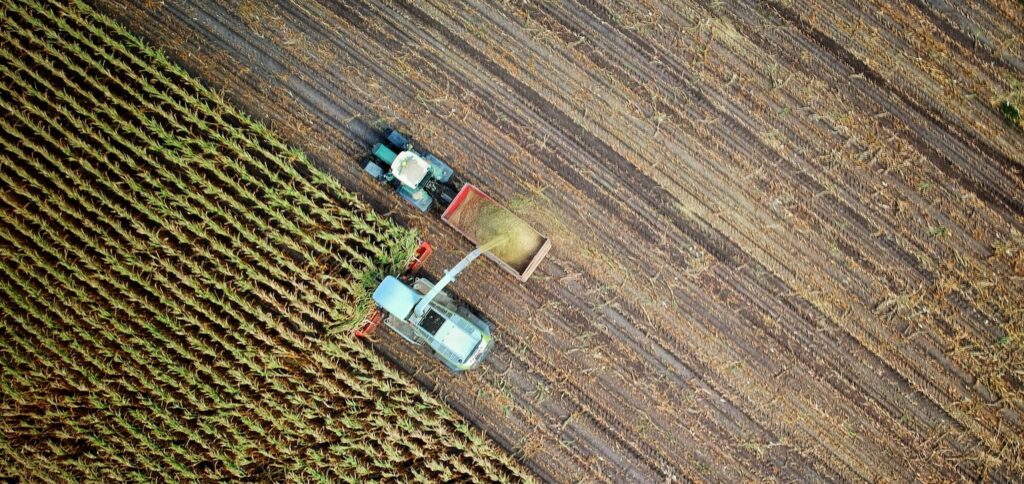solos/agricultura