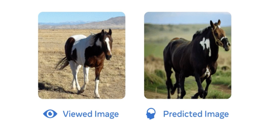 Pesquisadores da Meta usam IA para gerar imagens a partir de atividade cerebral
