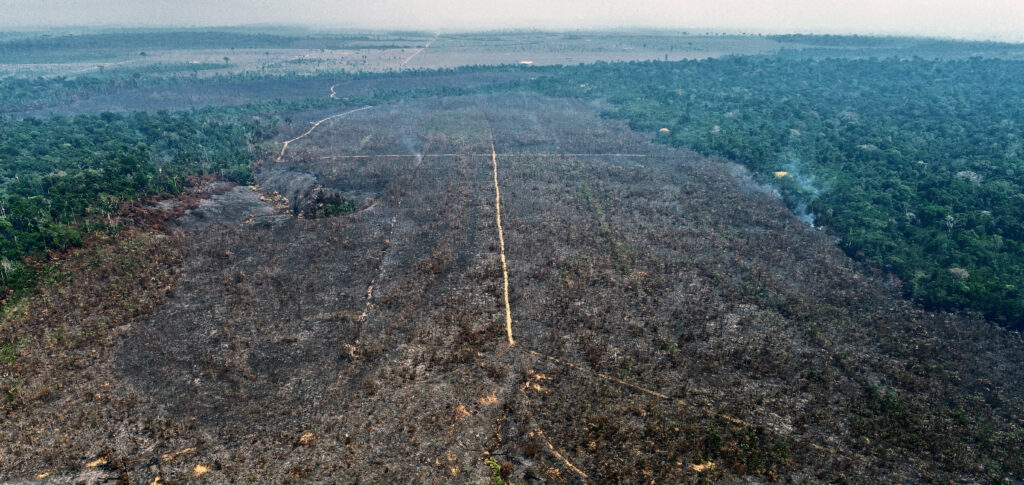 Amazônia AFP