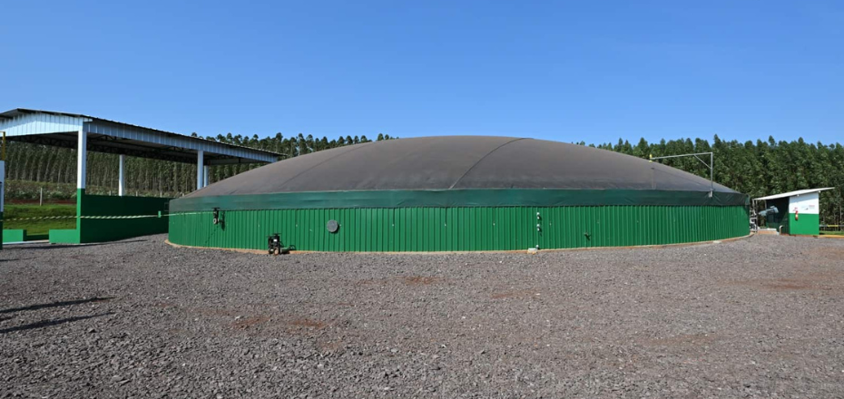 Projeto do Paraná transforma estrume de porco em energia elétrica