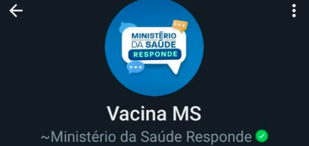 Perfil criado pelo Ministério da Saúde vai tirar dúvidas e enviar alertas sobre vacinação — Foto: WhatsApp/Reprodução