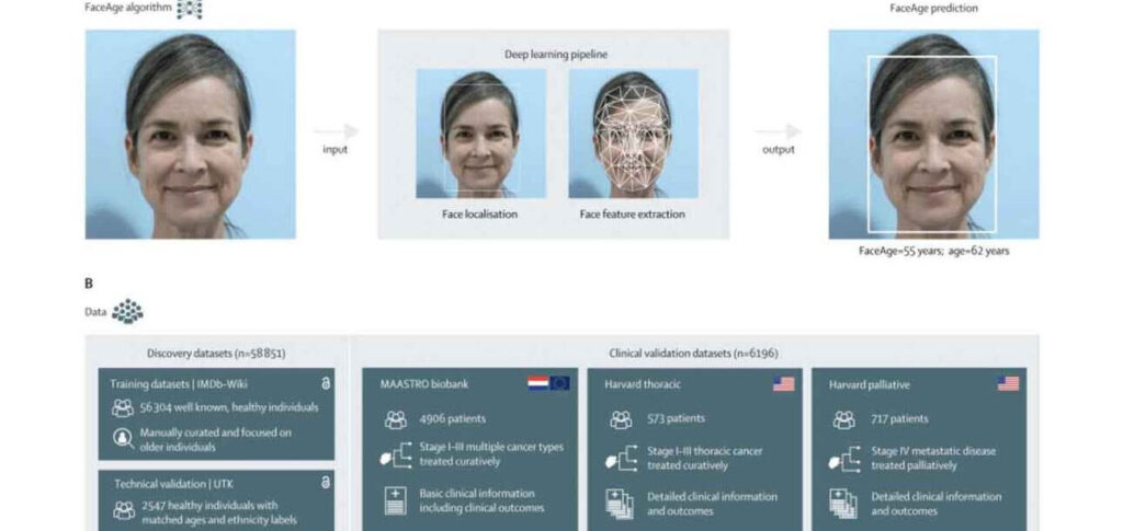 IA prevê resultados de câncer a partir de fotos; veja como