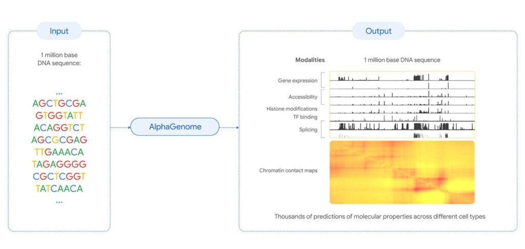AlphaGenome: Nova IA da DeepMind revoluciona a análise de DNA e a pesquisa de doenças