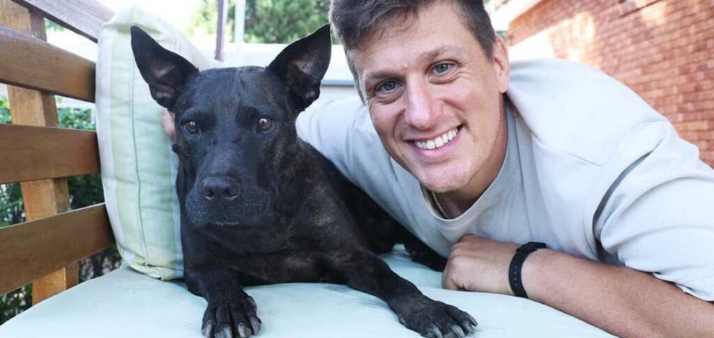 Vacina contra câncer criada com IA reduz tumor de cachorro e mostra novo horizonte da medicina personalizada